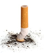 stubbed out cigarette 04-27-11_resized