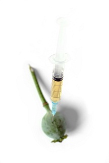 Opium Study Raises Questions About Opium-Derived Painkillers