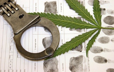 Marijuana and the law 10-22-12