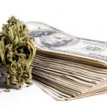 Marijuana & Cash