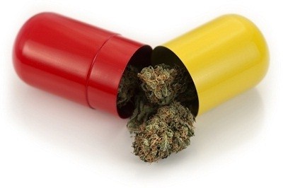 Marijuana in a capsule 4-23-13