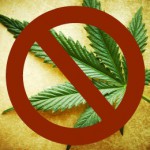 Cannabis leaf on grunge background, shallow DOF.