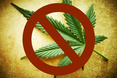 Cannabis leaf on grunge background, shallow DOF.