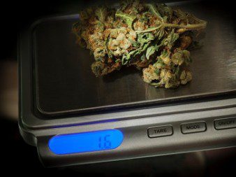 Weed on a marijuana scale