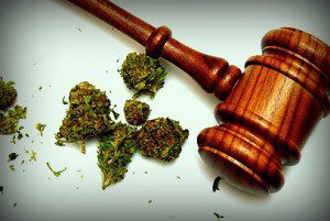 Marijuana and a gavel together for many legal concepts on the drug.