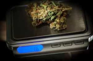 Weed on a marijuana scale