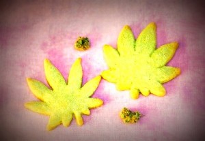 Plan to Prevent Marijuana Edible Overdoses, Colorado Experts Advise Other States- Join Together News Service from the Partnership for Drug-Free Kids