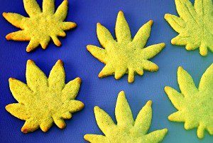 marijuana cookies 2-25-16